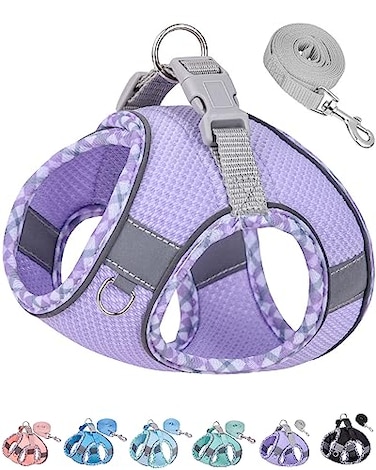 Petank Dog Harness for Small Medium Dogs No Pull Puppy Harness and Leash Set Step in Dog Harness for Walking Running Training Small Dog Vest Medium Dog Vest Purple XXS