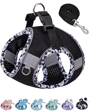 Petank Dog Harness for Small Medium Dogs No Pull Puppy Harness and Leash SetStep in Dog Harness for Walking Running Training Small Dog VestBlack XXS