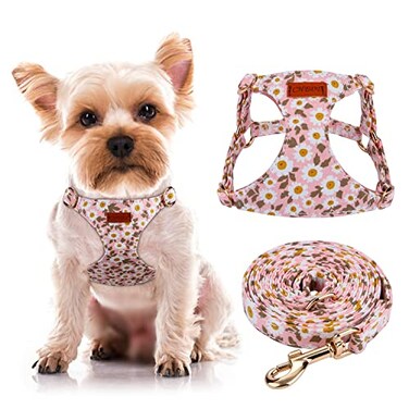 CHEDE No Pull Floral Pattern Dog Harness Lightweight Soft Adjustable Small Harness and Leash Set Suitable for Puppy Small and MediumSized Dog XXS Pink Daisy