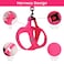 BELLAPAL BELLA PAL Step in Vest Harness for Small and Medium Dogs No Pull Small Dog Harness with Leash Set Comfortable Air Mesh Dog Vest Harness with Reflective Strip Hot Pink S