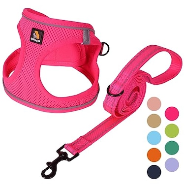 BELLAPAL BELLA PAL Step in Vest Harness for Small and Medium Dogs No Pull Small Dog Harness with Leash Set Comfortable Air Mesh Dog Vest Harness with Reflective Strip Hot Pink S