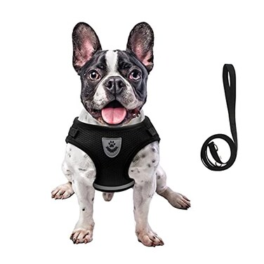 FEimaX Dog Harness and Leash Set for Walking Soft Mesh Adjustable Easy Control Lightweight Cat Vest Harnesses with Reflective Strips Escape Proof Small Dogs Cats Vests Black Large