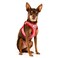 Curli Vest Harness Merino curli Clasp Red L