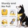 Pawaii No Pull Dog Harness with Pet ID TagReflective Strips No Choke Front O Ring Breathable Mesh Adjustable Soft Padded Pet Vest with Easy Control Handle for Small Dogs