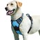 Eagloo Dog Harness for Large Dogs No Pull Service Vest with Reflective Strips and Control Handle Adjustable and Comfortable for Easy Walking No Choke Pet Harness with 2 Metal Rings Sky Blue L