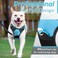 Eagloo Dog Harness for Large Dogs No Pull Service Vest with Reflective Strips and Control Handle Adjustable and Comfortable for Easy Walking No Choke Pet Harness with 2 Metal Rings Sky Blue L