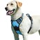 Eagloo Dog Harness for Large Dogs No Pull Service Vest with Reflective Strips and Control Handle Adjustable and Comfortable for Easy Walking No Choke Pet Harness with 2 Metal Rings Sky Blue L