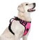 rabbitgoo Dog Harness for Large Dogs No Pull Pet Harness with Soft Padded Handle Adjustable Reflective Vest with 3 Buckles Easy Walking Harness with 2 Leash Clips Pink L
