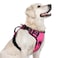 rabbitgoo Dog Harness for Large Dogs No Pull Pet Harness with Soft Padded Handle Adjustable Reflective Vest with 3 Buckles Easy Walking Harness with 2 Leash Clips Pink L