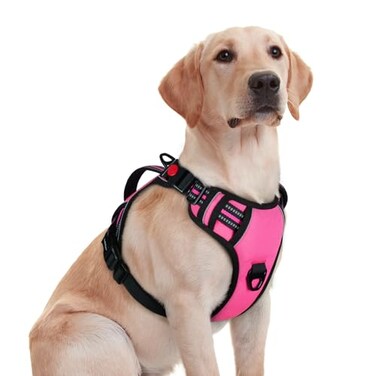 rabbitgoo Dog Harness Medium Sized No Pull Pet Harness with Soft Padded Handle Adjustable Reflective Vest with 3 Buckles Easy Walking Harness with 2 Leash Clips Pink M