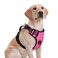 rabbitgoo Dog Harness Medium Sized No Pull Pet Harness with Soft Padded Handle Adjustable Reflective Vest with 3 Buckles Easy Walking Harness with 2 Leash Clips Pink M