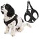 Gooby Escape Free Easy Fit Harness Black Large No Pull Stepin Patented Small Dog Harness with Quick Release Buckle Perfect On the Go No Pull Harness for Small Dogs or Medium Dog Harness