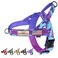 Annchwool No Pull Dog Harness with Soft Padded HandleEscape Proof and Quick Fit to Adjust Dog HarnessEasy for Training Walking for Small Medium and Large DogsCamo PurpleL
