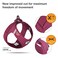 Curli Vest Harness curli Clasp AirMesh Ruby 2XS