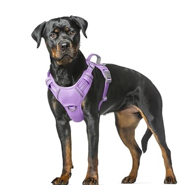 BARKBAY No Pull Dog Harness Large Reflective Dog Harness with Front Clip and Easy Control Handle for Walking Training Running with ID tag PocketViolet PurpleXL