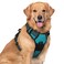 rabbitgoo Dog Harness No Pull with 2 Leash Clips Adjustable Soft Padded Reflective Oxford No Choke Pet Vest with Easy Control Handle for Large Dogs Teal XL