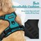 rabbitgoo Dog Harness No Pull with 2 Leash Clips Adjustable Soft Padded Reflective Oxford No Choke Pet Vest with Easy Control Handle for Large Dogs Teal XL