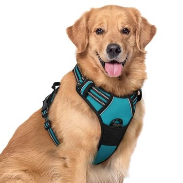 rabbitgoo Dog Harness No Pull with 2 Leash Clips Adjustable Soft Padded Reflective Oxford No Choke Pet Vest with Easy Control Handle for Large Dogs Teal XL