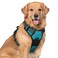 rabbitgoo Dog Harness No Pull with 2 Leash Clips Adjustable Soft Padded Reflective Oxford No Choke Pet Vest with Easy Control Handle for Large Dogs Teal XL