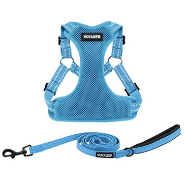 Best Pet Supplies Voyager Adjustable Stepin Flex Breathable Mesh Dog Harness for Small Medium Large Dogs Leash Set Baby Blue S