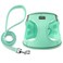 BOOMIBOO Dog Harness with Leash Set No Pull Adjustable Reflective Stepin Puppy Pet Vest Harnesses for Small Medium Large Dogs and CatsGreen XS