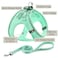 BOOMIBOO Dog Harness with Leash Set No Pull Adjustable Reflective Stepin Puppy Pet Vest Harnesses for Small Medium Large Dogs and CatsGreen XS
