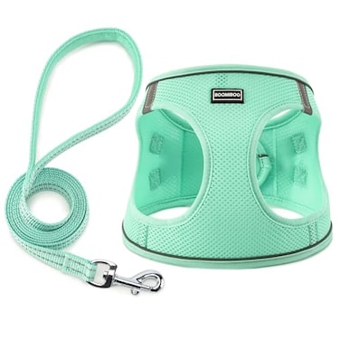 BOOMIBOO Dog Harness with Leash Set No Pull Adjustable Reflective Stepin Puppy Pet Vest Harnesses for Small Medium Large Dogs and CatsGreen XS