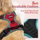 rabbitgoo Dog Harness No Pull with 2 Leash Clips Adjustable Soft Padded Reflective Oxford No Choke Pet Vest with Easy Control Handle for Large Dogs Red Teal L