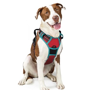 rabbitgoo Dog Harness No Pull with 2 Leash Clips Adjustable Soft Padded Reflective Oxford No Choke Pet Vest with Easy Control Handle for Large Dogs Red Teal L