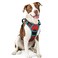 rabbitgoo Dog Harness No Pull with 2 Leash Clips Adjustable Soft Padded Reflective Oxford No Choke Pet Vest with Easy Control Handle for Large Dogs Red Teal L
