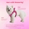 YIMEIS Dog Harness and Leash Set No Pull Soft Mesh Pet Harness Reflective Adjustable Puppy Vest for Small Medium Large Dogs Cats Rose Red XSmall Pack of 1