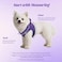 YIMEIS Dog Harness and Leash Set No Pull Soft Mesh Pet Harness Reflective Adjustable Puppy Vest for Small Medium Large Dogs Cats Purple XSmall Pack of 1