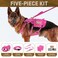 Forestpaw Pink Tactical Dog Harness for Large DogsTactical Dog Collar with Bungee Leash SetNo Pull Military Dog Harness for Walking TrainingAdjustable for Medium DogsChest 1725