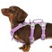 Huntboo Escape Proof Dog Harness Secure Dog Harness No EscapeFully Reflective Harness with HandleBreathableDurableAdjustable Vest for Small Dogs WalkingTraining Running GearLavender PurpleS