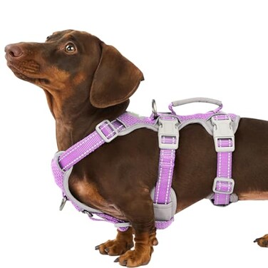 Huntboo Escape Proof Dog Harness Secure Dog Harness No EscapeFully Reflective Harness with HandleBreathableDurableAdjustable Vest for Small Dogs WalkingTraining Running GearLavender PurpleS