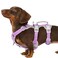 Huntboo Escape Proof Dog Harness Secure Dog Harness No EscapeFully Reflective Harness with HandleBreathableDurableAdjustable Vest for Small Dogs WalkingTraining Running GearLavender PurpleS