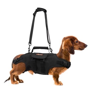 RIXBEO Dog Lift Harness Full Body Support with Adjustable Control Handle for Medium Senior Dogs PostSurgery Recovery Joint Problems Oxford Cloth M