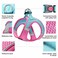 haapaw Dog Harness with Leash Set No Pull Adjustable Reflective Stepin Puppy Harness with Thickened Padded Vest for ExtraSmallSmall Medium Dogs