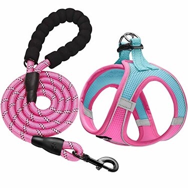 haapaw Dog Harness with Leash Set No Pull Adjustable Reflective Stepin Puppy Harness with Thickened Padded Vest for ExtraSmallSmall Medium Dogs