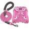 haapaw Dog Harness with Leash Set No Pull Adjustable Reflective Stepin Puppy Harness with Thickened Padded Vest for ExtraSmallSmall Medium Dogs