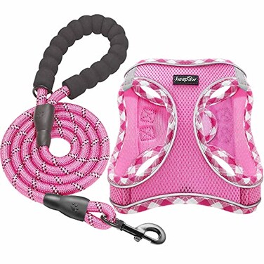 haapaw Dog Harness with Leash Set No Pull Adjustable Reflective Stepin Puppy Harness with Thickened Padded Vest for ExtraSmallSmall Medium Dogs