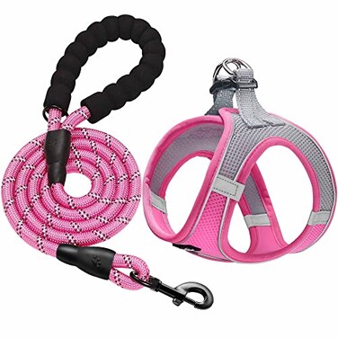 haapaw Dog Harness with Leash Set No Pull Adjustable Reflective Stepin Puppy Harness with Thickened Padded Vest for ExtraSmallSmall Medium Dogs