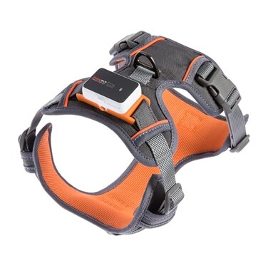 Pawfit 3 Series Harness for Small Dogs No Pull Pet Harness with 2 Leash Clips Adjustable Soft Padded Pet Vest Harness Reflective for Training or Walking