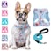 BEAUTYZOO Step in Dog Harness and Leash Set Floral Pattern Reflective No Pull No Choke Puppy Harness for Small Medium Large Dogs Cats Soft Padded Mesh Vest Harnesses for Girl and Boy Pets