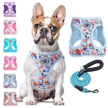 BEAUTYZOO Step in Dog Harness and Leash Set Floral Pattern Reflective No Pull No Choke Puppy Harness for Small Medium Large Dogs Cats Soft Padded Mesh Vest Harnesses for Girl and Boy Pets