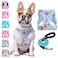 BEAUTYZOO Step in Dog Harness and Leash Set Floral Pattern Reflective No Pull No Choke Puppy Harness for Small Medium Large Dogs Cats Soft Padded Mesh Vest Harnesses for Girl and Boy Pets