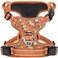 Timos Dog Harness for Large Dogs No Pull Service Vest with Reflective Strips and Control HandleNo Choke Dog Harness with 2 Metal Rings for Easy WalkingOutdoor TrainingFlower Orange L
