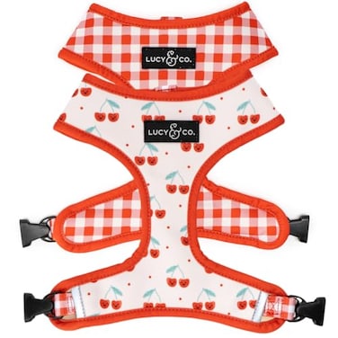LucyCo. Lucy Co Reversible Dog Harness WaterRepellent Neoprene DualPrint Design Easy Swap Style Adjustable Comfort Fit Cheery Cherries Reversible Harness Medium