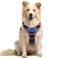 rabbitgoo Dog Harness No Pull with 2 Leash Clips Adjustable Soft Padded Reflective Oxford No Choke Pet Vest with Easy Control Handle for Medium Sized Dogs Blue Orange M