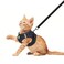 FEimaX Dog Harness and Leash Set No Pull Breathable Soft Mesh Puppy Vest Harness Reflective Adjustable Pet Harnesses for Small Medium Dogs and Cats Outdoor Easy Control for Walking